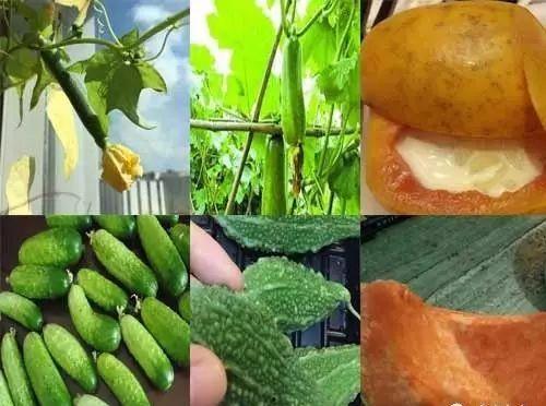 六点半吃瓜爆料,揭秘娱乐圈最新热点事件