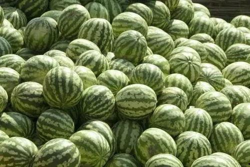 吃瓜爆料源头追踪是真的吗,真相与谣言的较量