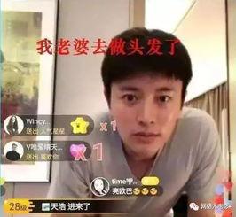 娱乐圈吃瓜电视剧,揭秘明星幕后真相与甜蜜爱情