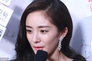 来济宁的明星网红,共绘城市新篇章