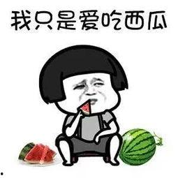 吃瓜专用用语娱乐圈,吃瓜群众围观大戏连连