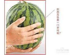 挑瓜小窍门图文热门视频,挑瓜小窍门，轻松挑选出甜美佳品