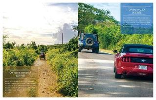 明星网红自驾游,网红明星的畅游之旅