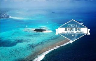 明星网红自驾游,网红明星的畅游之旅