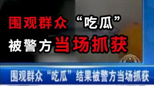 丹东吃瓜最新事件爆料新闻,最新爆料揭示惊人内幕
