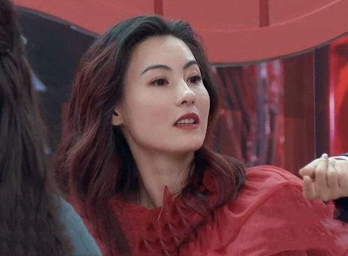 明星网红靠谱吗,真实与虚幻的较量