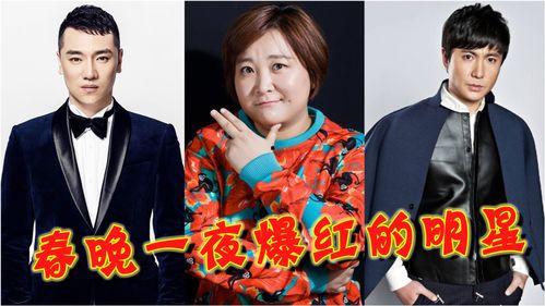 春晚明星网红有谁唱歌,明星网红齐聚一堂，共唱新春佳曲