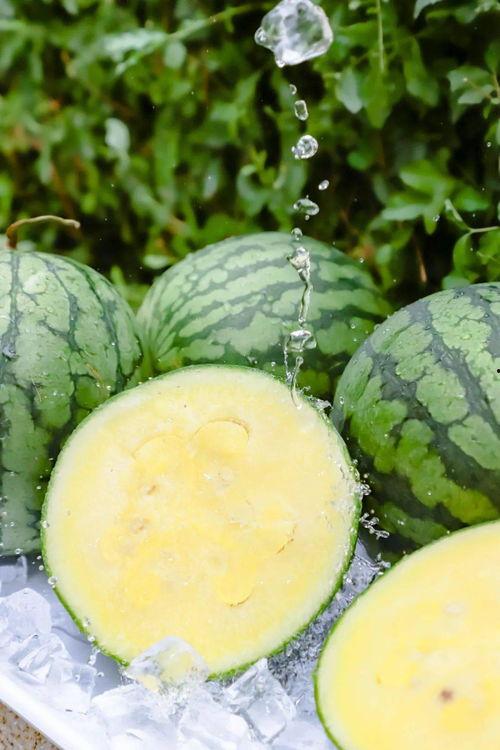 黑瓜吃料正能量免费下载,正能量免费下载，畅享快乐时光