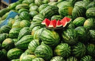 黑料社网红吃瓜下载,揭秘娱乐圈幕后真相