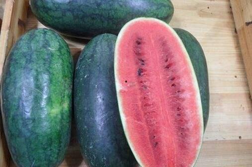 秦嘉倪吃瓜黑料网