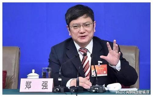 郑强谈明星网红,明星网红现象背后的社会与文化影响