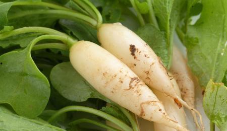 每日大赛吃瓜黑料更新真实