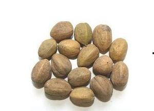 吃瓜爆料小巴豆怎么做,独家爆料背后的故事